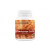 Cordyceps Cs-4